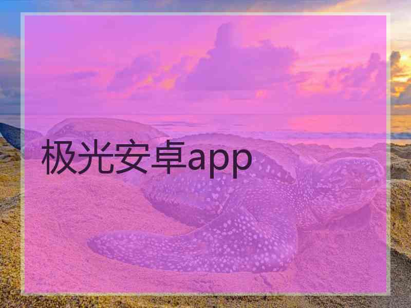 极光安卓app