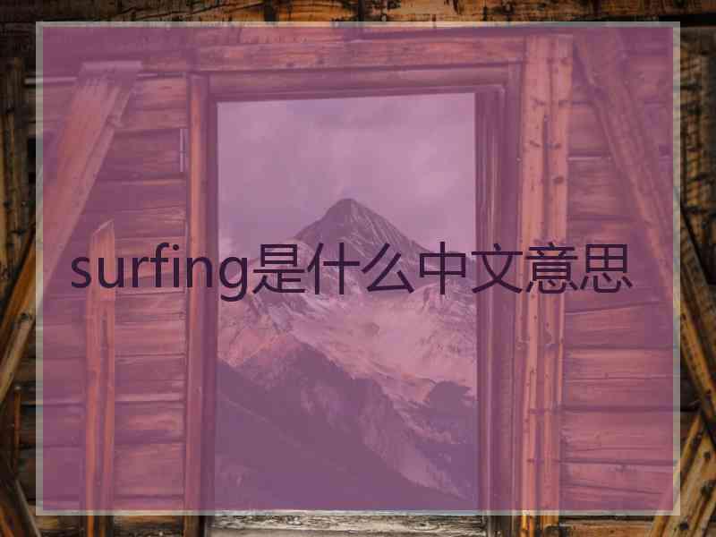 surfing是什么中文意思
