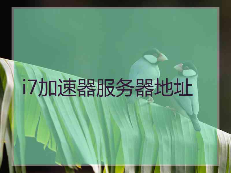 i7加速器服务器地址