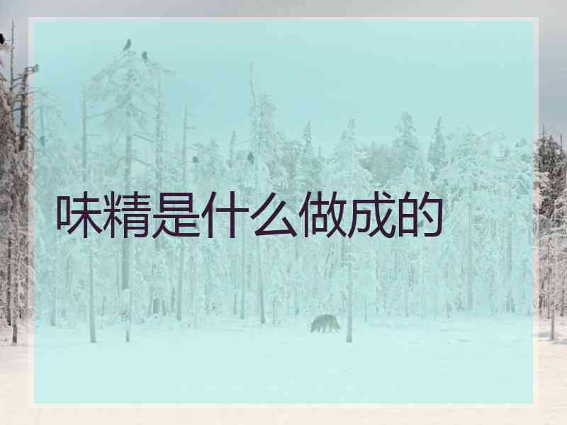 味精是什么做成的