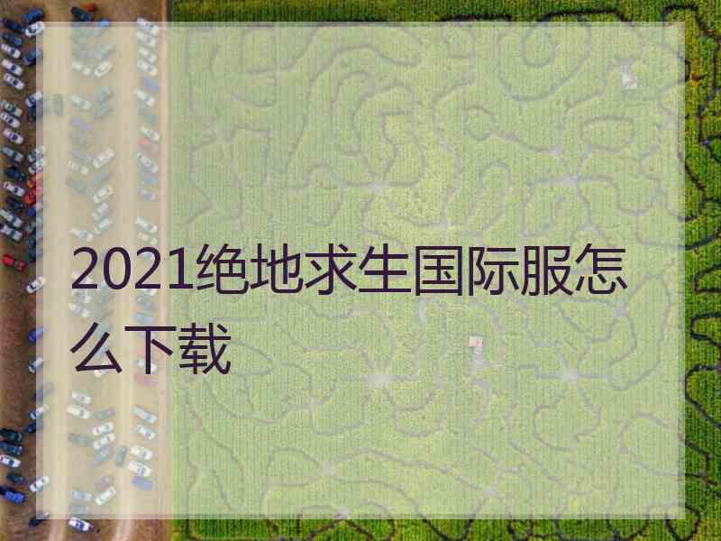 2021绝地求生国际服怎么下载