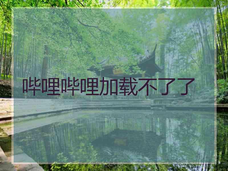 哔哩哔哩加载不了了