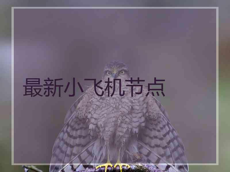 最新小飞机节点