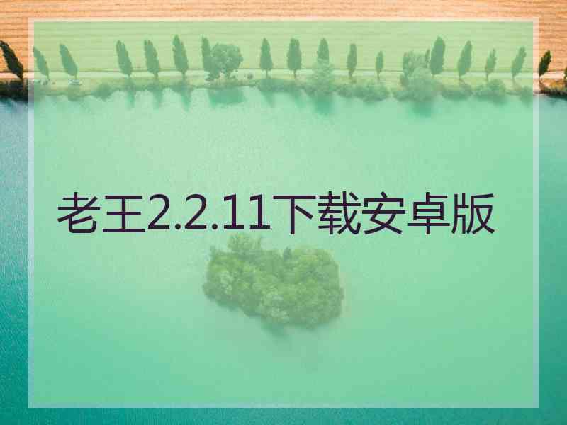 老王2.2.11下载安卓版