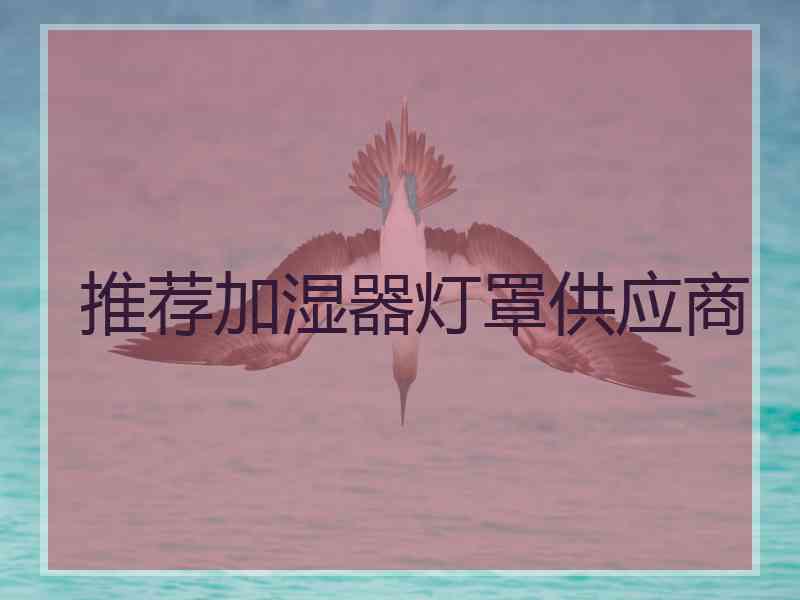 推荐加湿器灯罩供应商