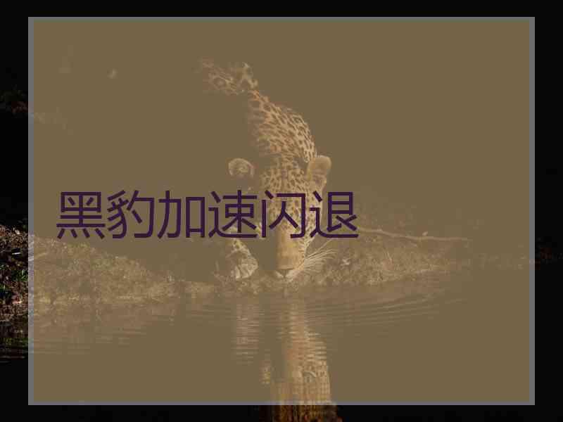 黑豹加速闪退