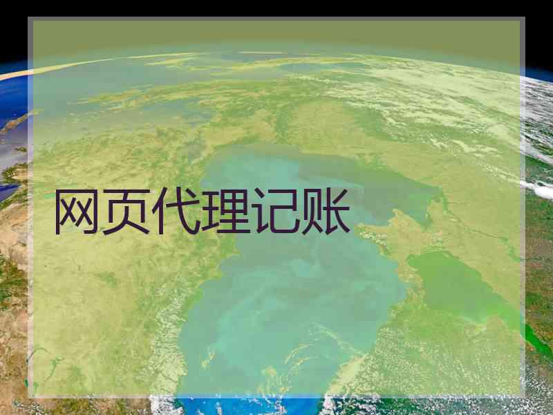 网页代理记账