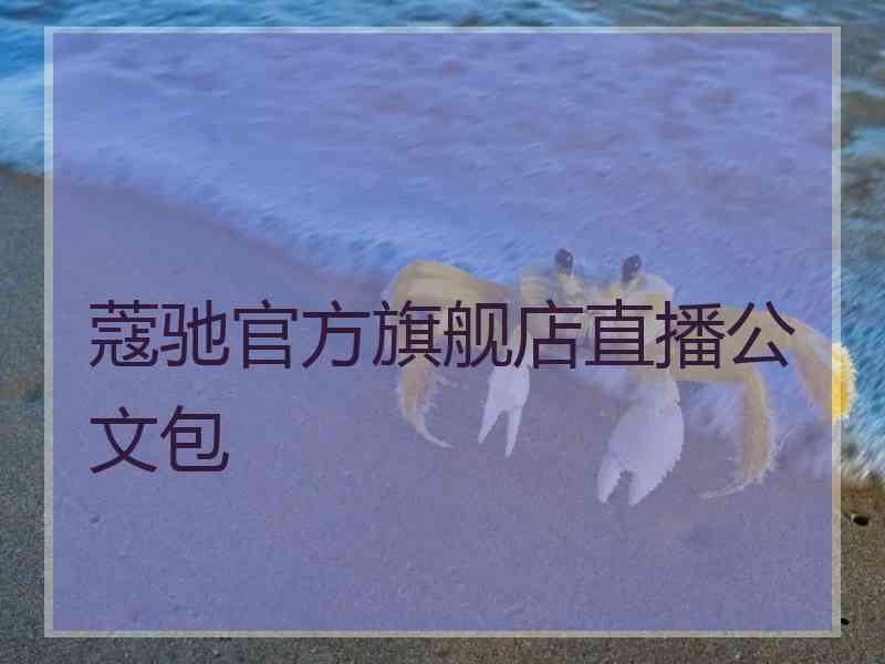 蔻驰官方旗舰店直播公文包