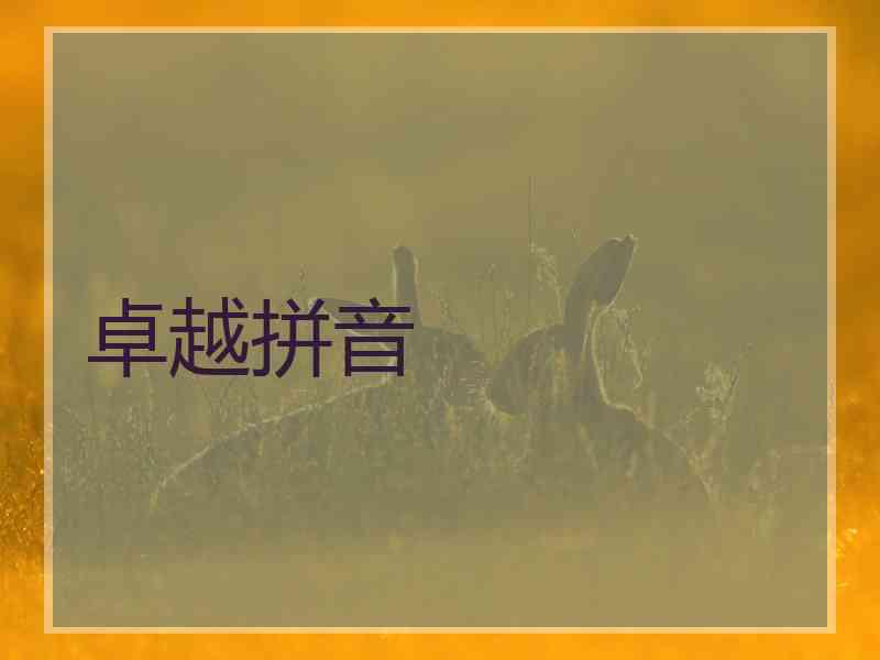 卓越拼音