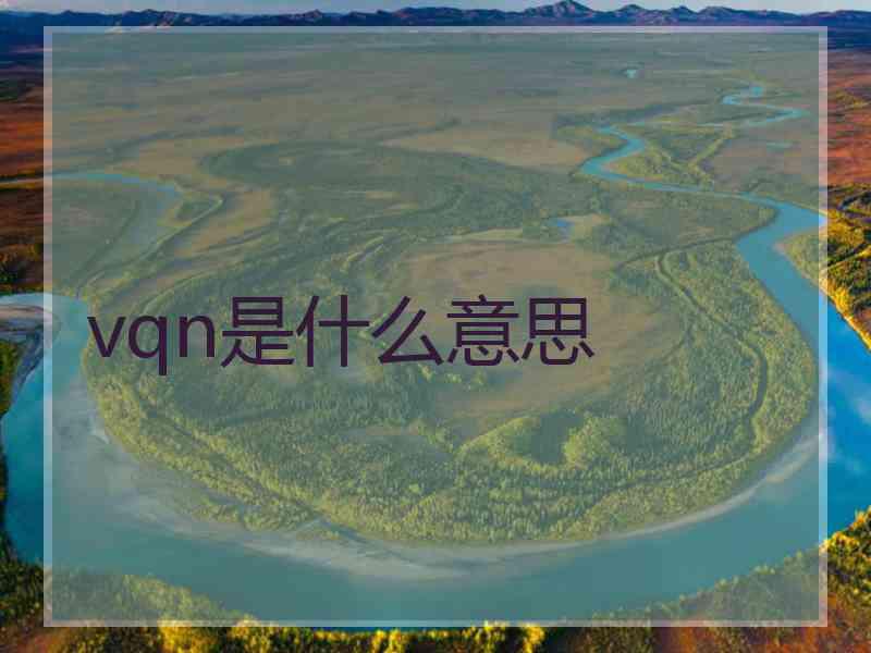 vqn是什么意思