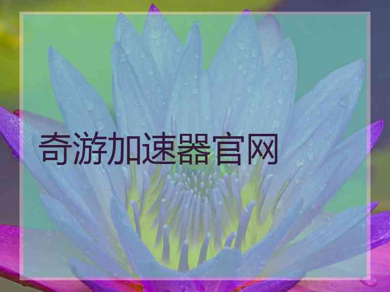 奇游加速器官网