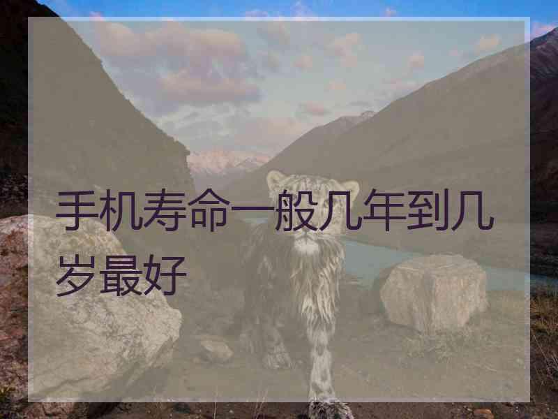 手机寿命一般几年到几岁最好