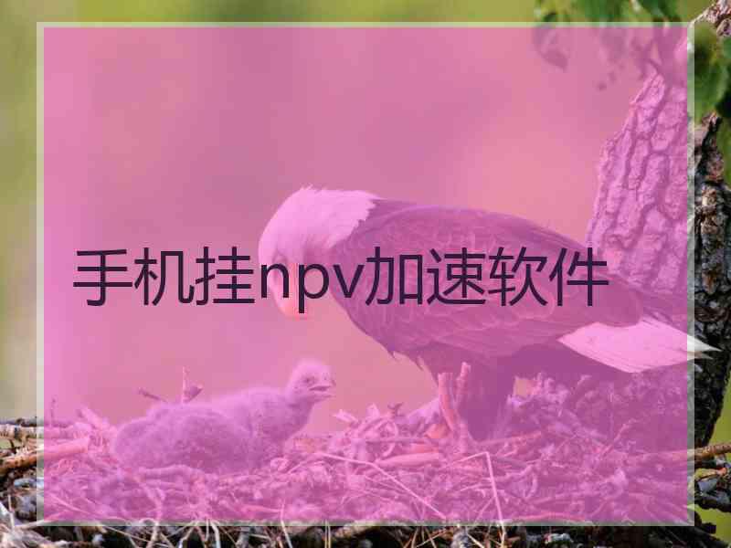 手机挂npv加速软件