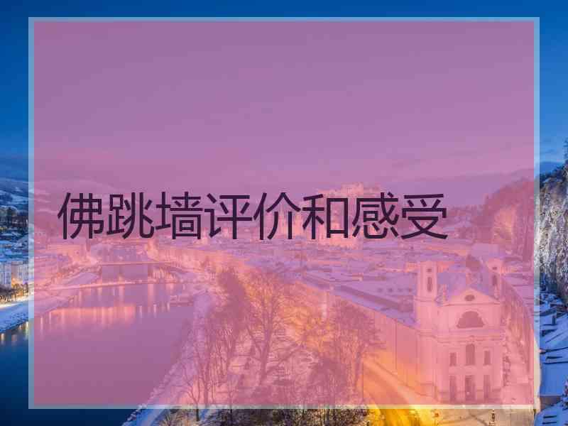 佛跳墙评价和感受