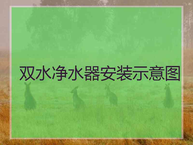双水净水器安装示意图