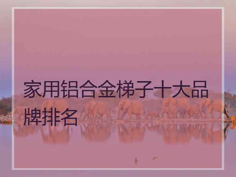 家用铝合金梯子十大品牌排名