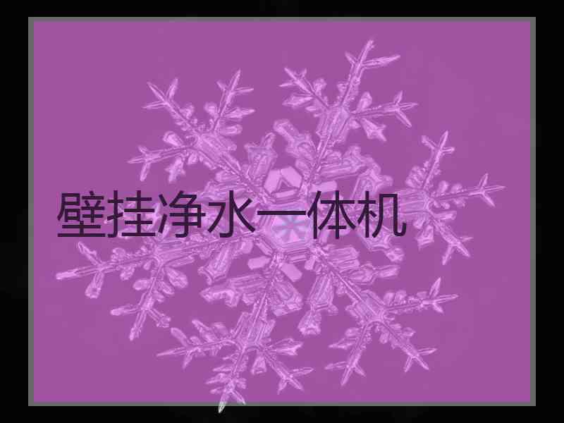 壁挂净水一体机