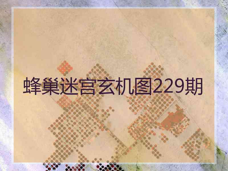 蜂巢迷宫玄机图229期