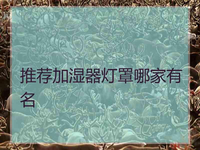 推荐加湿器灯罩哪家有名