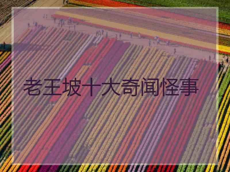 老王坡十大奇闻怪事