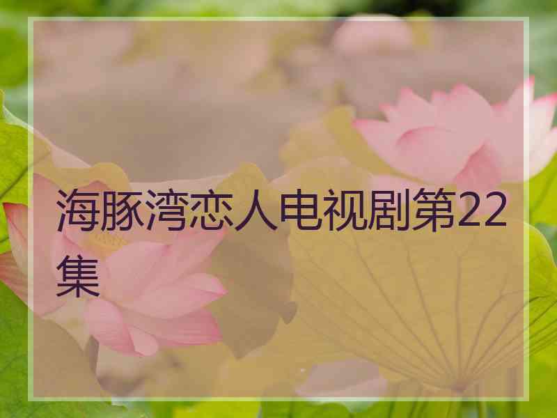 海豚湾恋人电视剧第22集