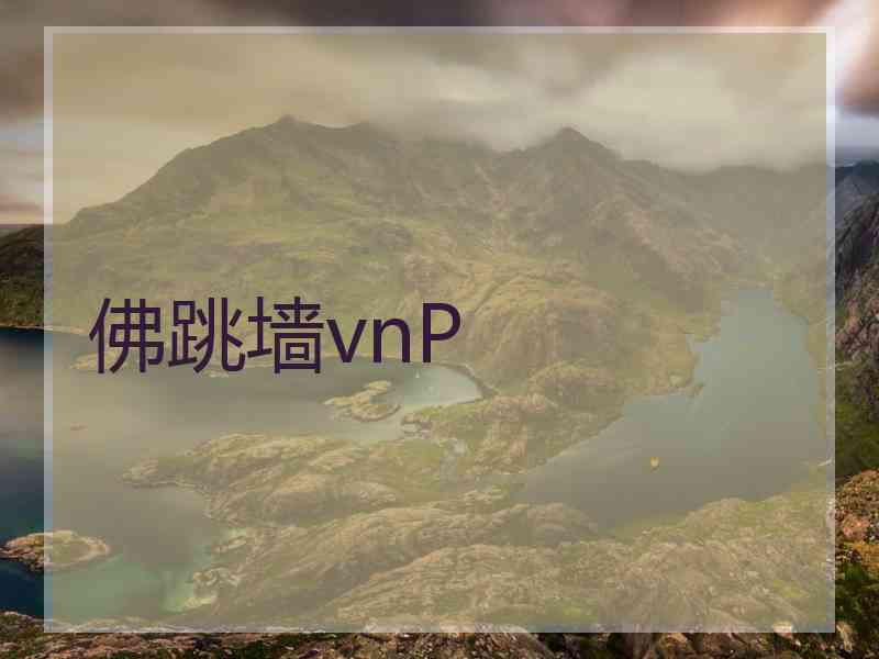 佛跳墙vnP