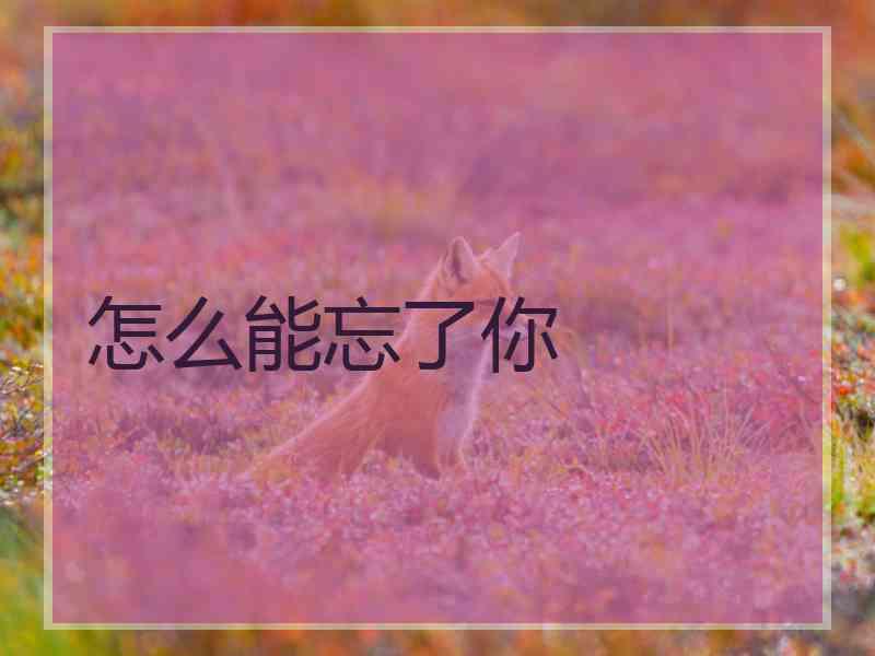 怎么能忘了你
