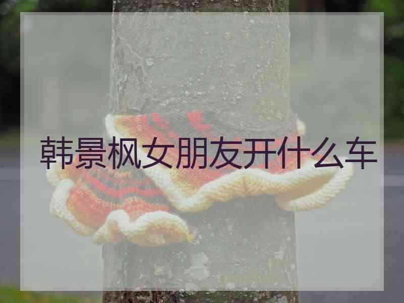 韩景枫女朋友开什么车