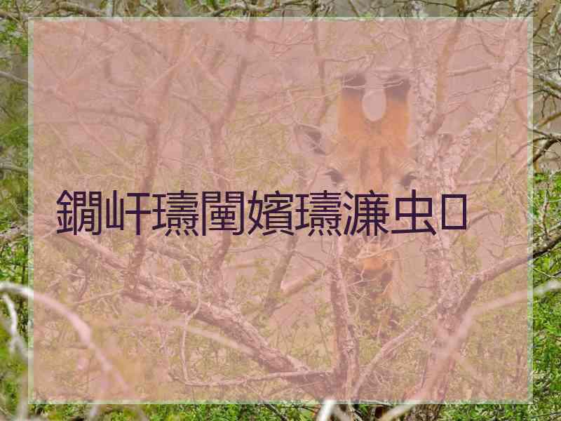 鐗屽瓙闉嬪瓙濂虫