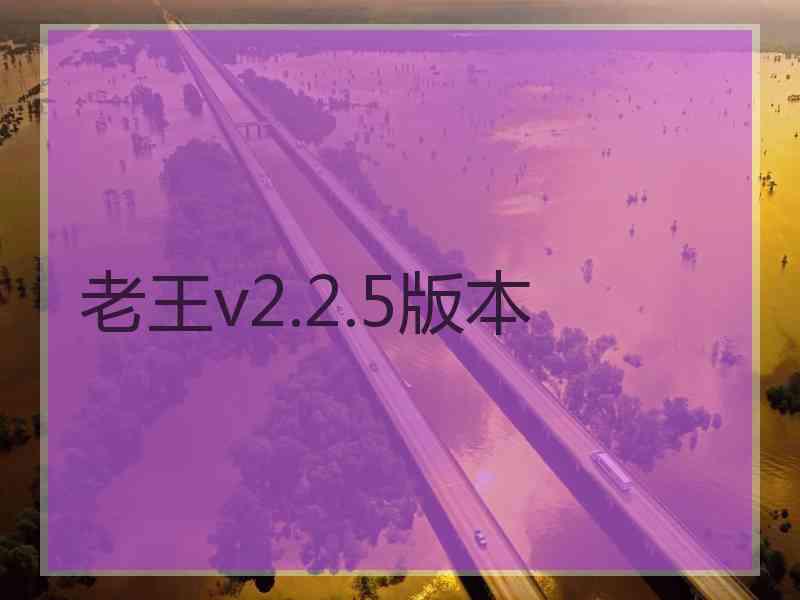 老王v2.2.5版本