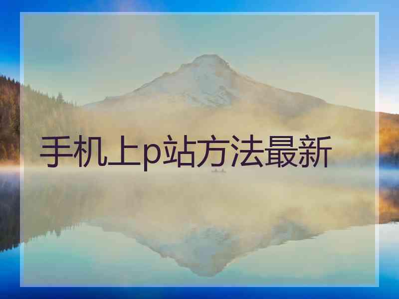 手机上p站方法最新