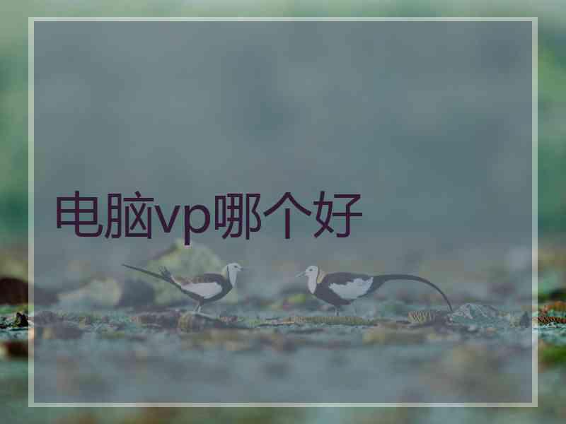电脑vp哪个好