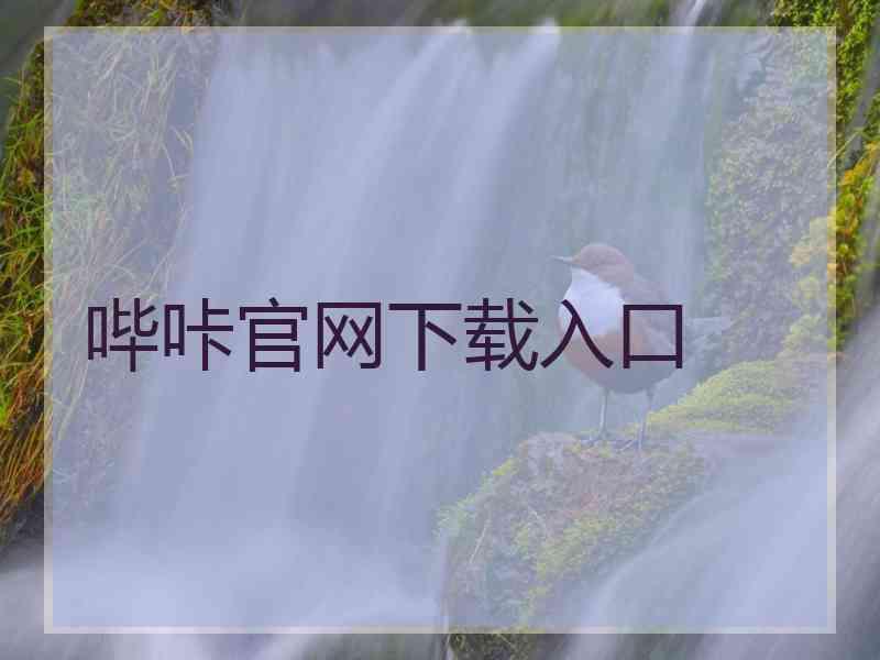 哔咔官网下载入口