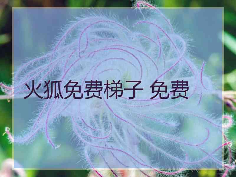 火狐免费梯子 免费