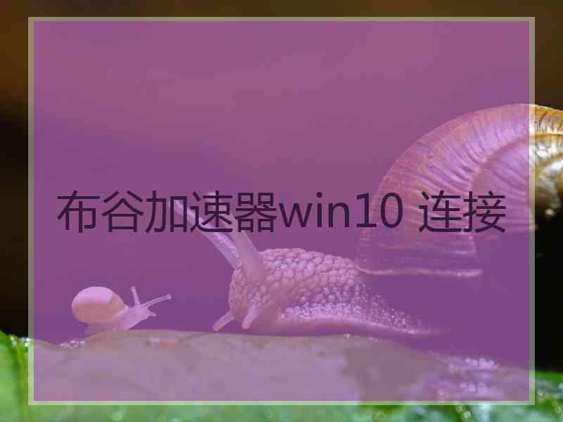 布谷加速器win10 连接