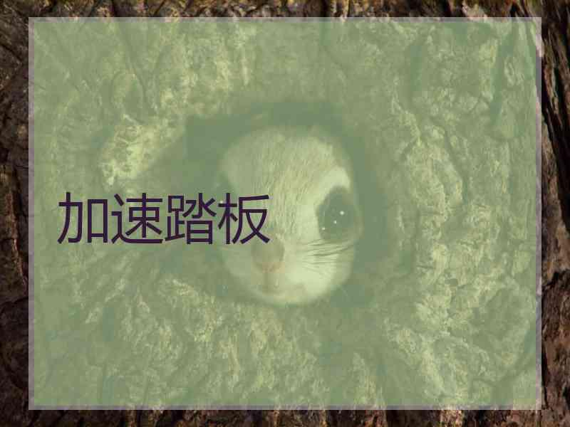加速踏板
