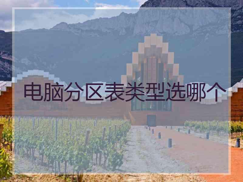 电脑分区表类型选哪个