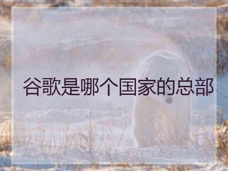 谷歌是哪个国家的总部