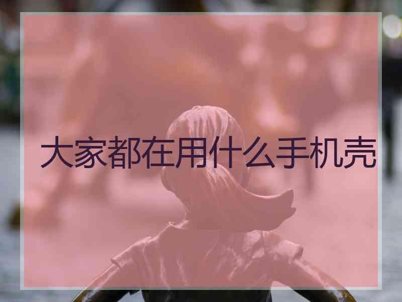 大家都在用什么手机壳