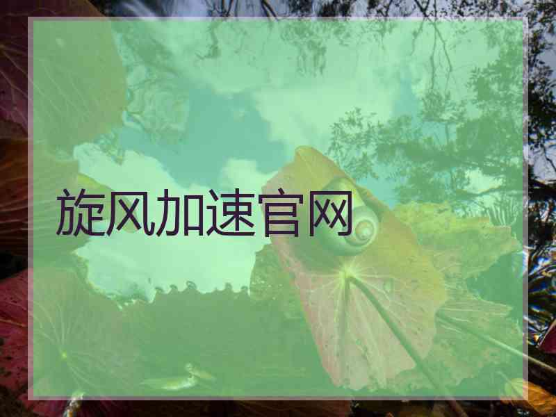 旋风加速官网