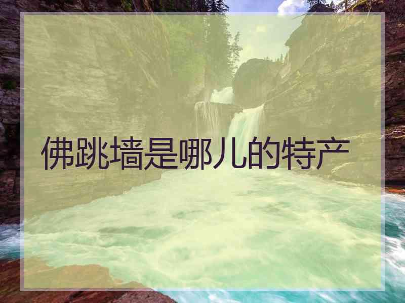 佛跳墙是哪儿的特产
