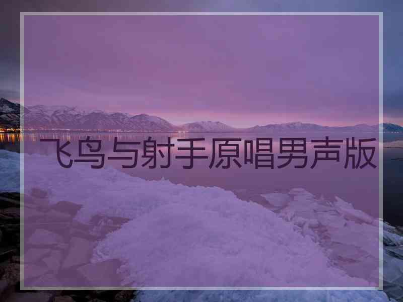 飞鸟与射手原唱男声版