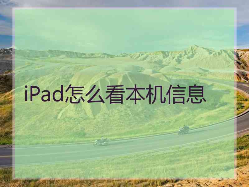 iPad怎么看本机信息