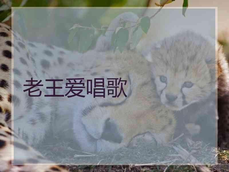 老王爱唱歌
