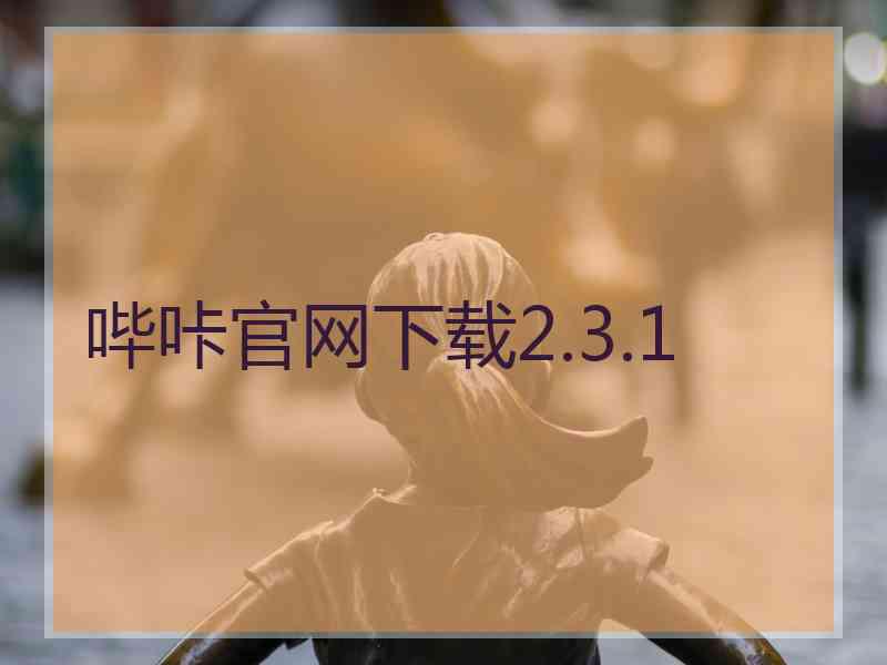 哔咔官网下载2.3.1