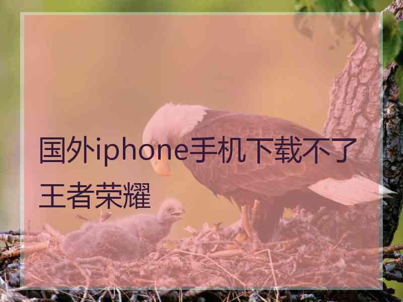 国外iphone手机下载不了王者荣耀