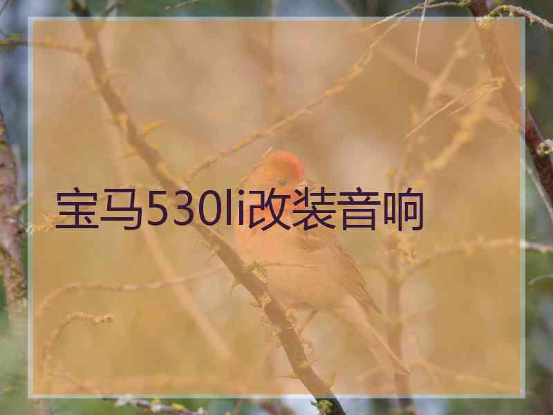 宝马530li改装音响