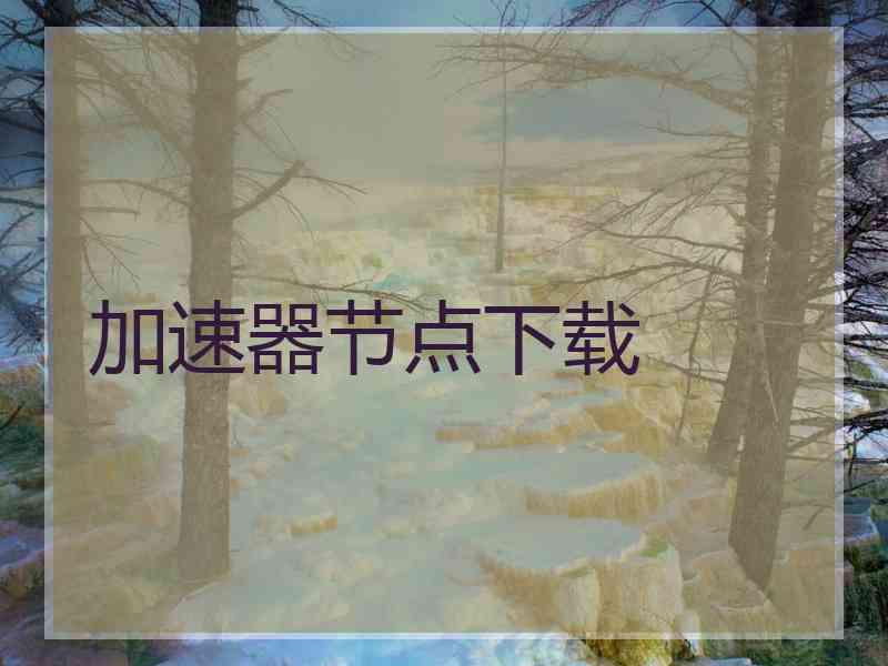 加速器节点下载