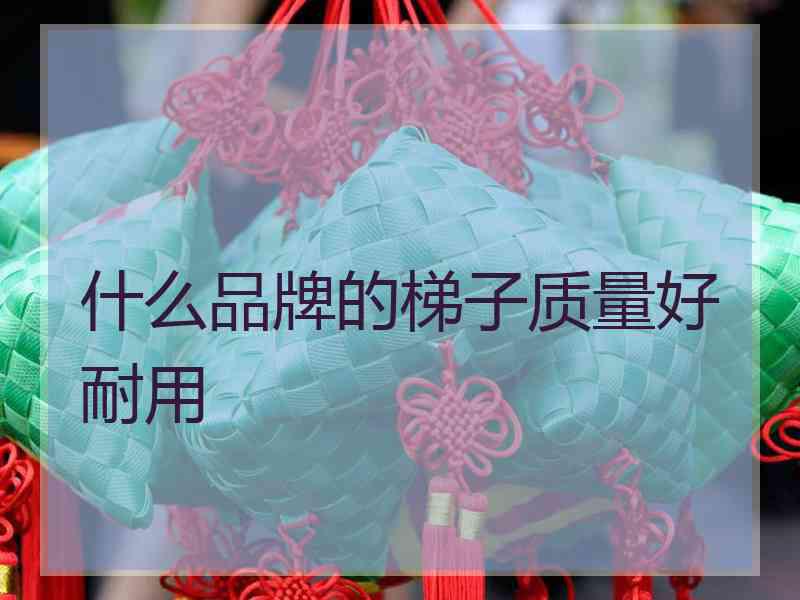 什么品牌的梯子质量好耐用