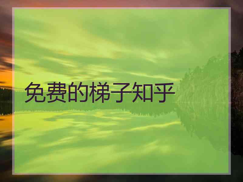 免费的梯子知乎